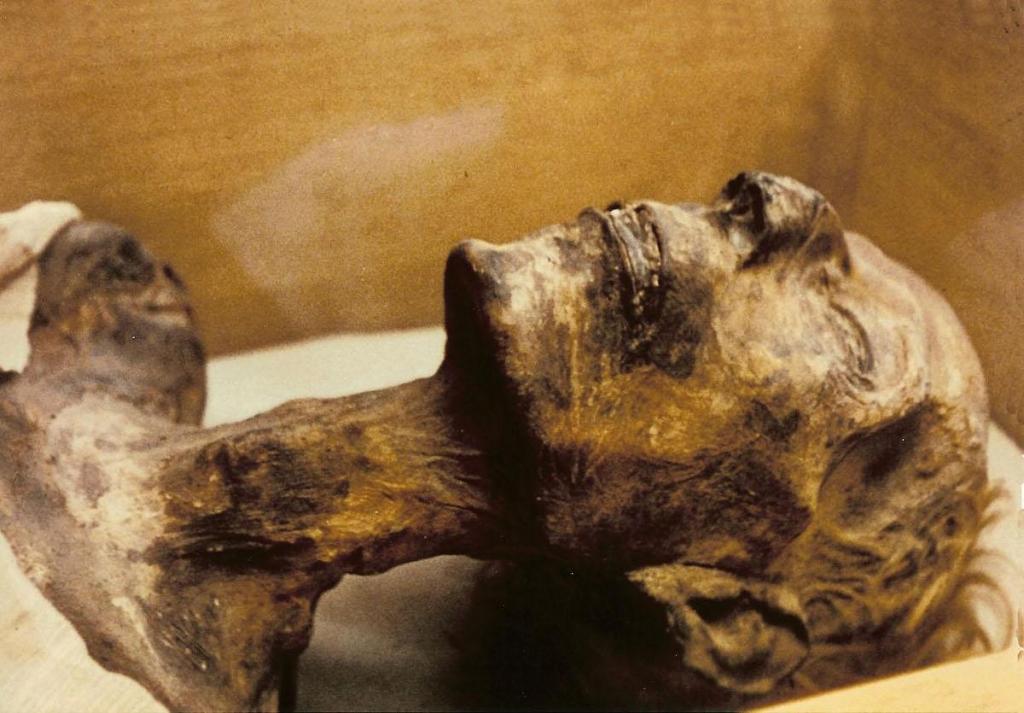 ancient egyptian mummies