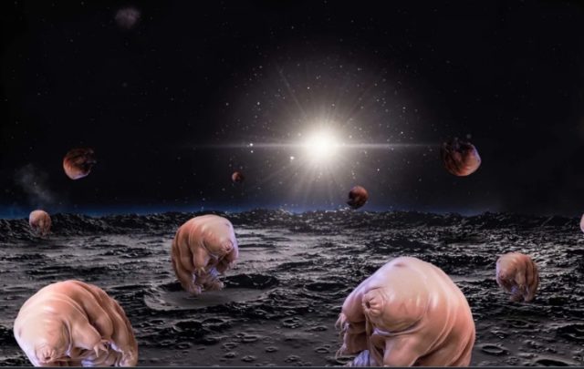 Tardigrades on moon