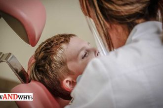 Importance of Regular Dental Check-ups