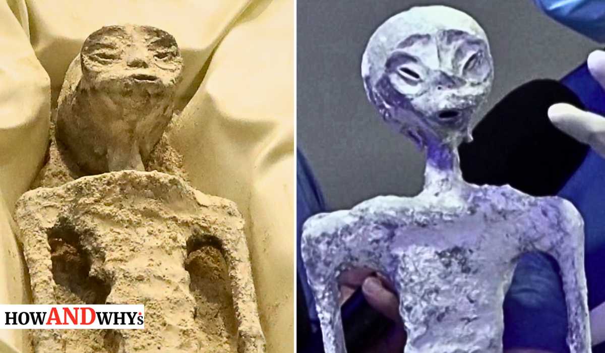 Mexican Alien Mummies Confirmed 'Not Human': 30% of Their DNA Is of ...