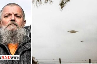 calvine ufo photo truth