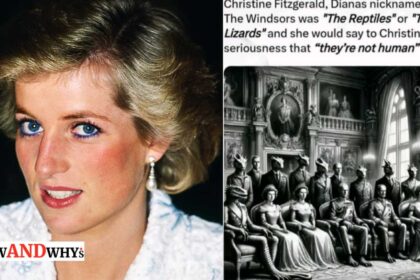 Princess Diana reptilian